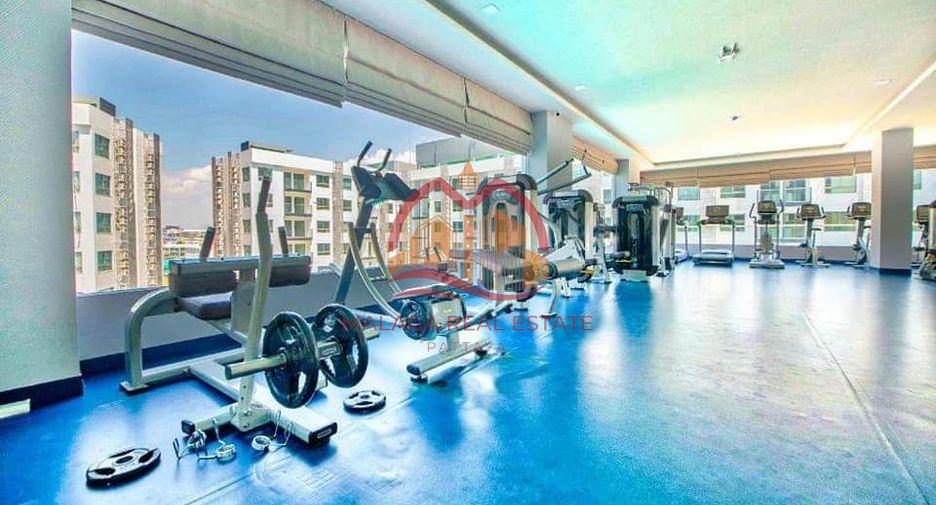 Arcadia Beach Resort